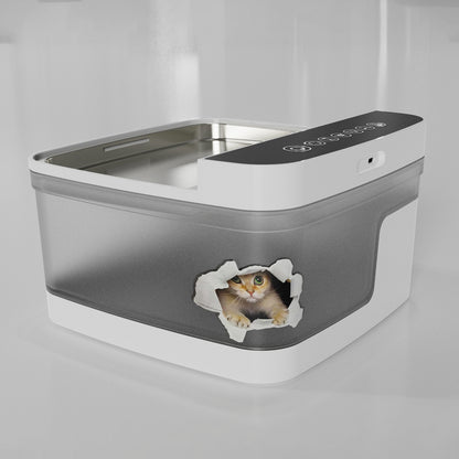 Cat & Dog Water Fountain — 2L Capacity, Silent Motor, Visible Water Level